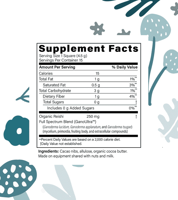 Fx Chocolate Defend (15 Count) by Designs for Health