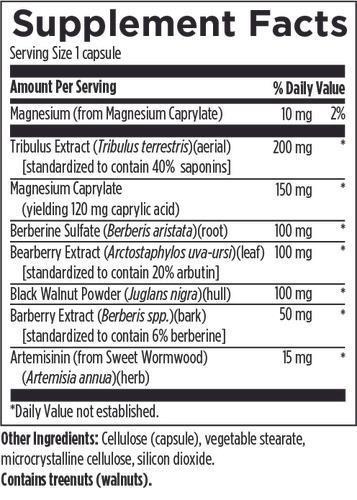 GI Microb-X (120 caps) by Designs for Health